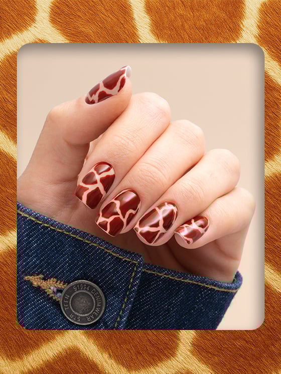 NL-immagine-secondaria-02 (1)